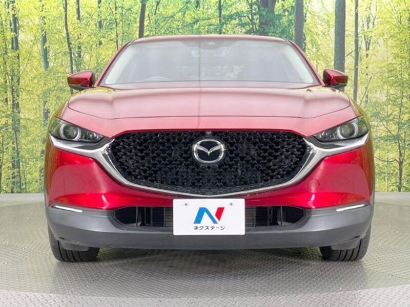 CX-30