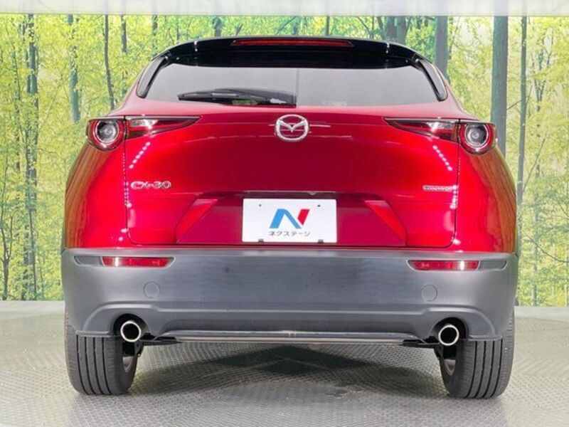 CX-30