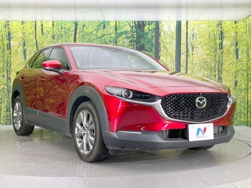 CX-30