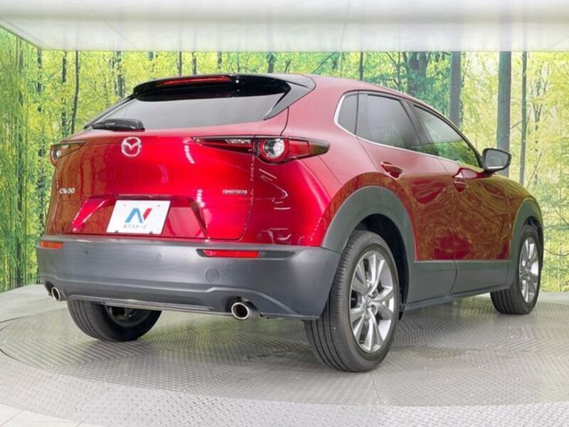 CX-30