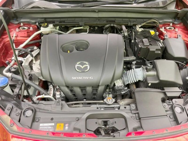 CX-30