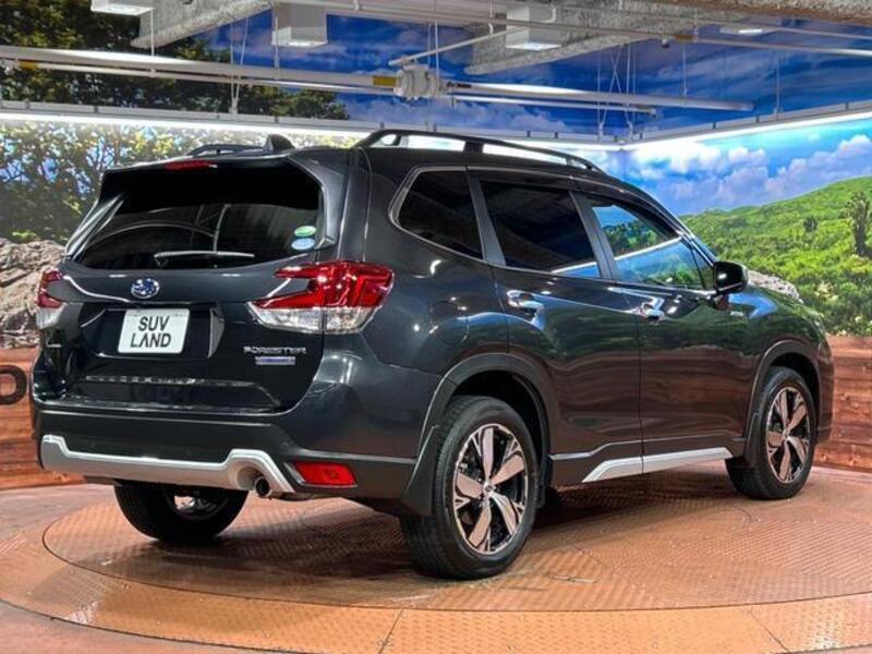 FORESTER