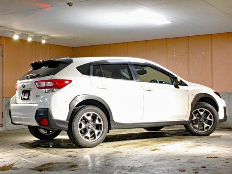 XV
