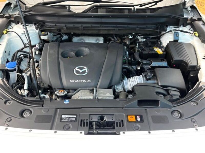 CX-8