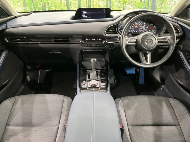 CX-30