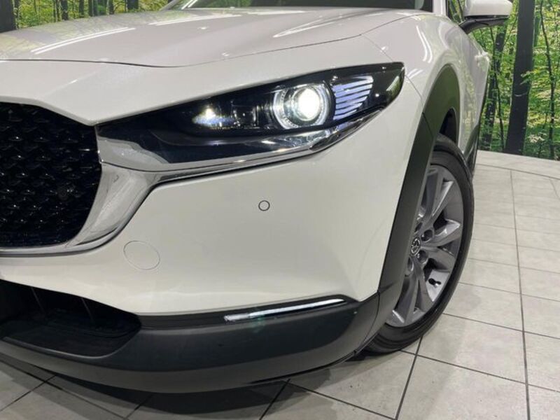CX-30