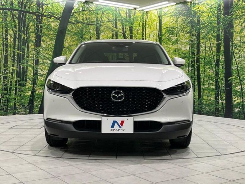 CX-30