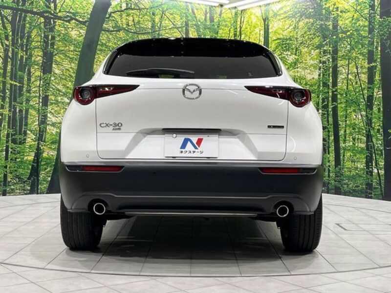 CX-30