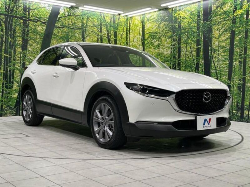 CX-30