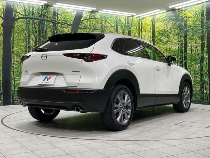 CX-30