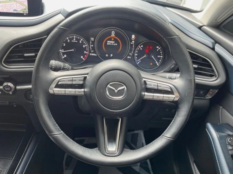 CX-30