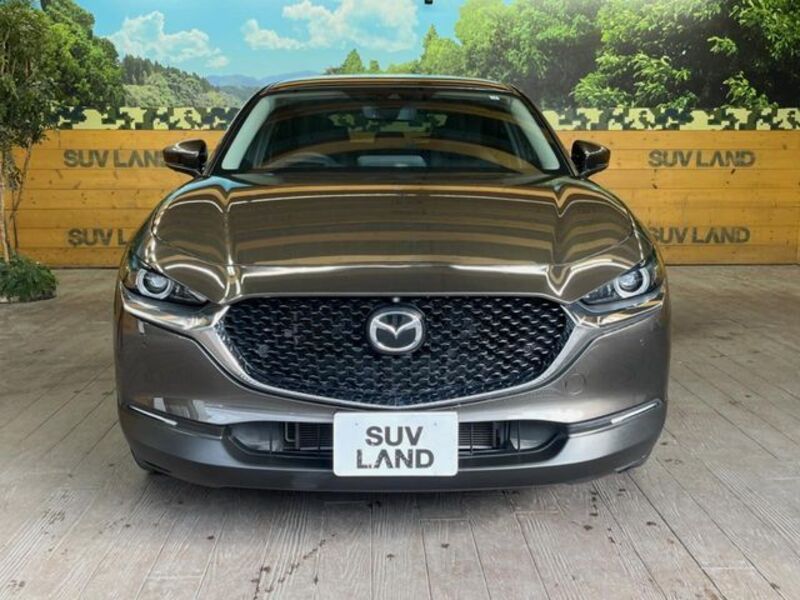CX-30