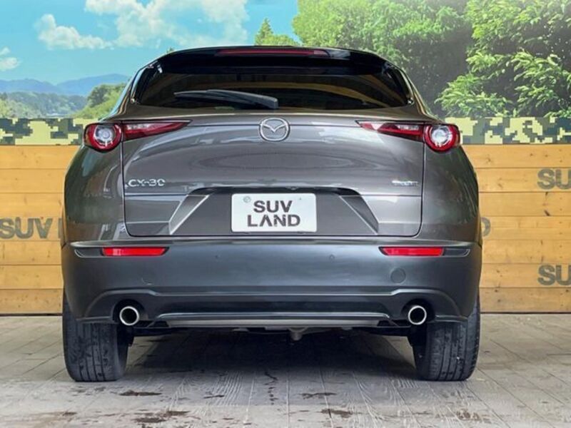 CX-30