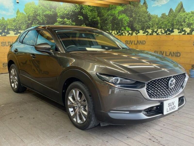 CX-30