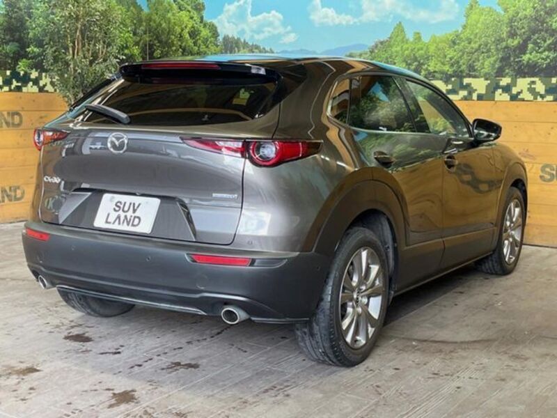 CX-30