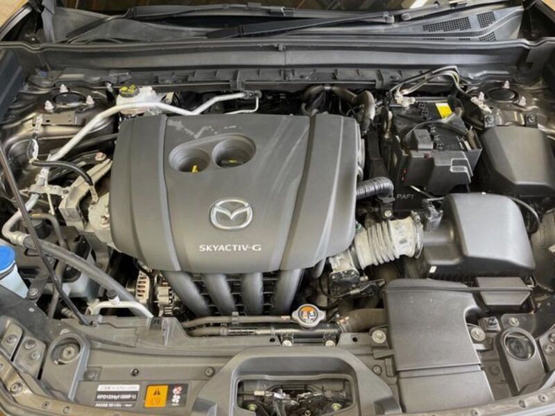 CX-30