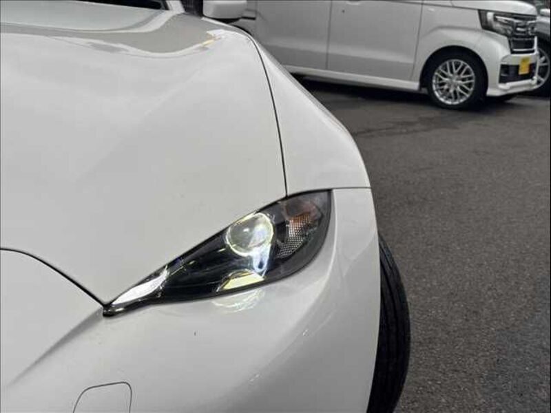 ROADSTER RF