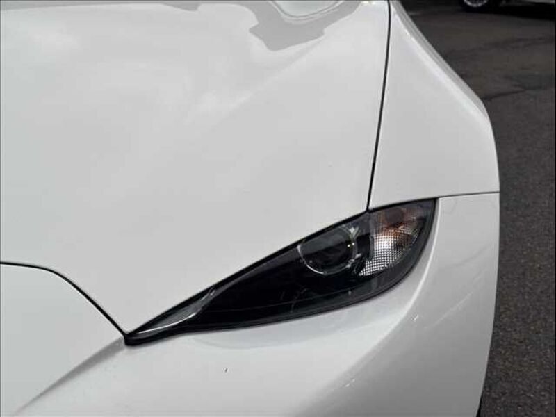 ROADSTER RF