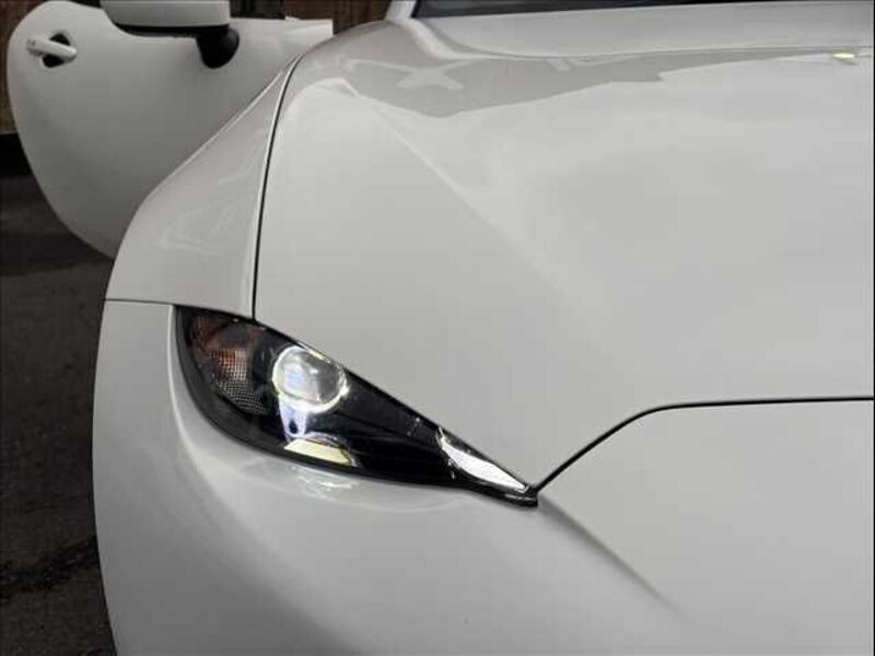 ROADSTER RF