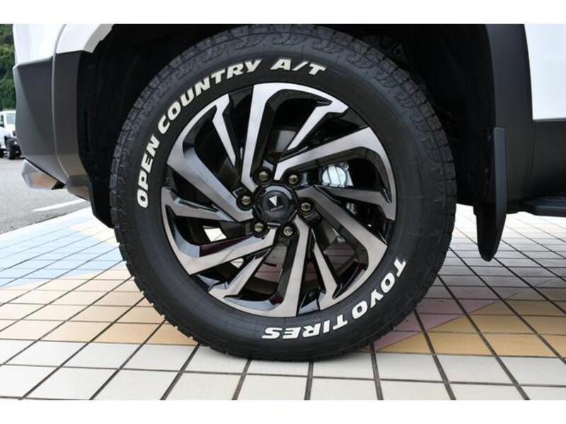LAND CRUISER 250