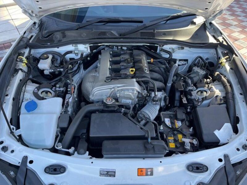 ROADSTER RF