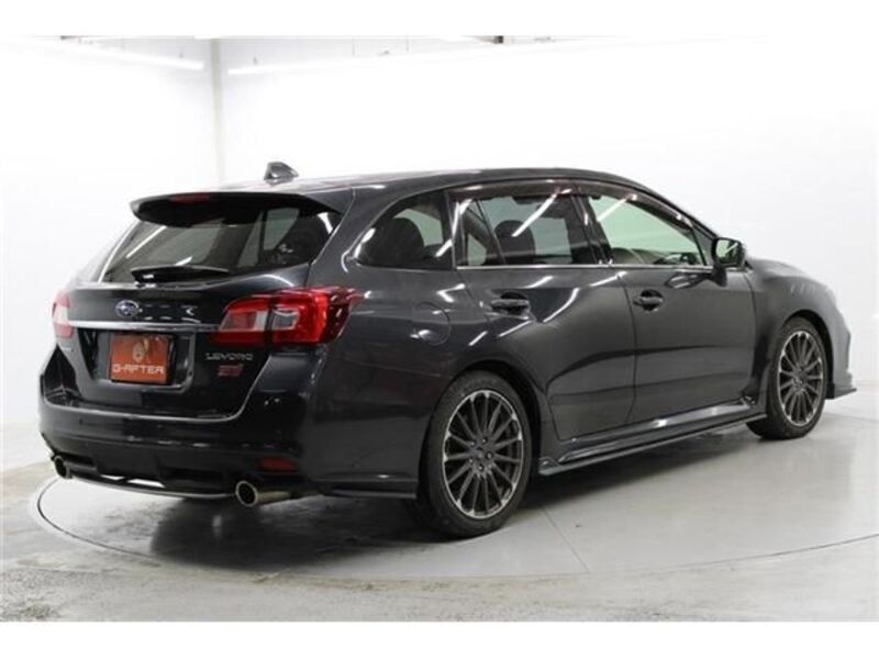 LEVORG