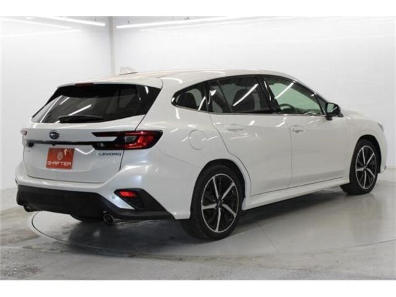 LEVORG