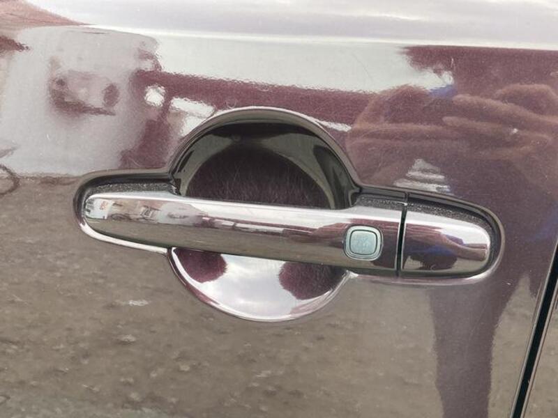 COROLLA RUMION