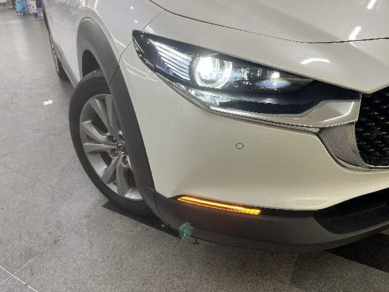 CX-30