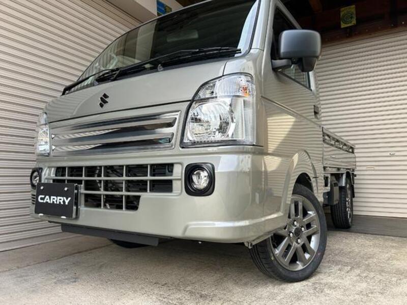 CARRY TRUCK