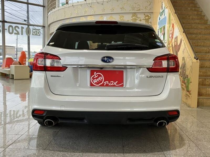 LEVORG