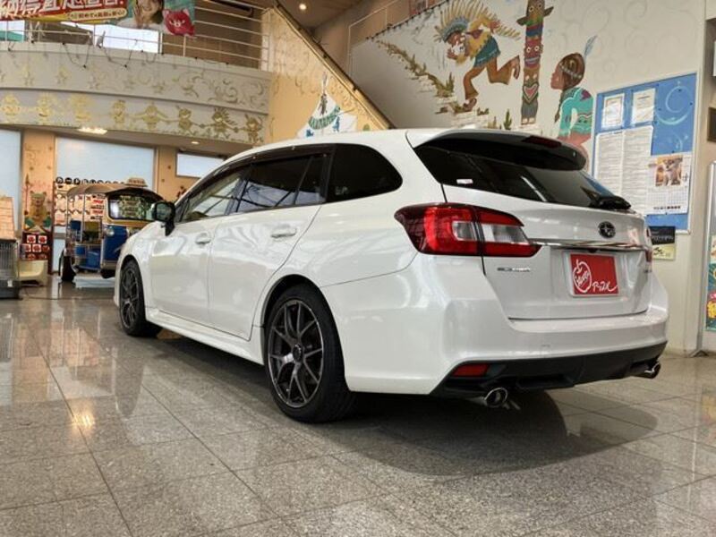 LEVORG
