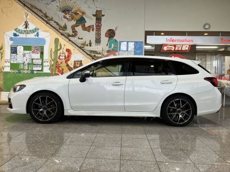 LEVORG