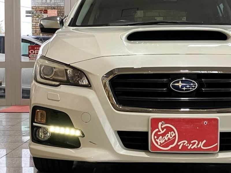 LEVORG