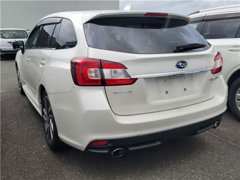 LEVORG