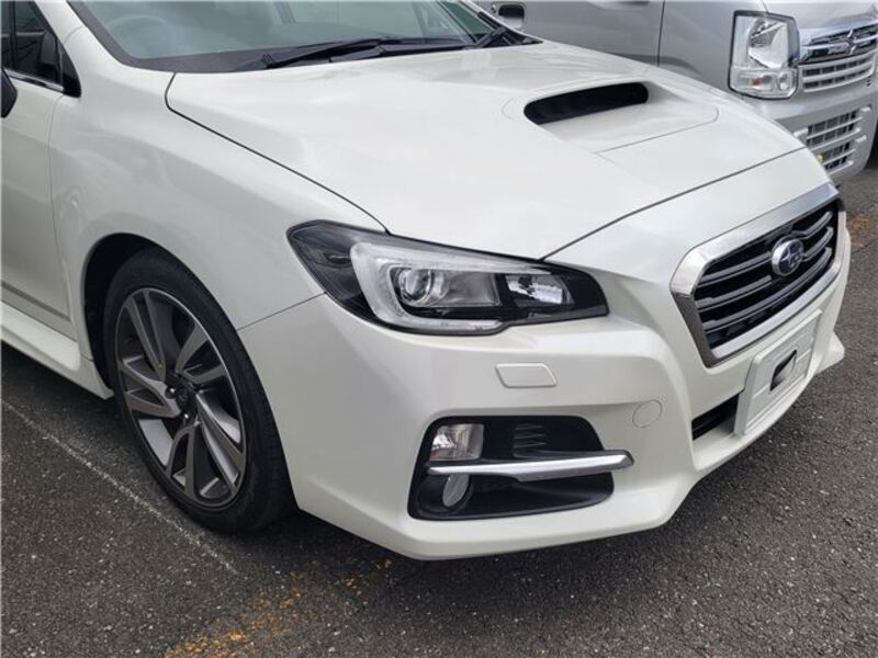 LEVORG