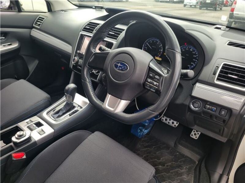 LEVORG
