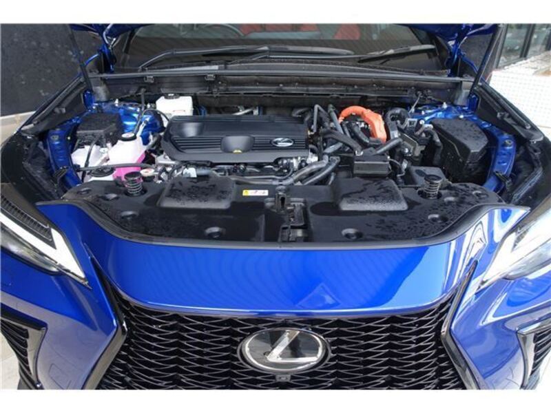 NX