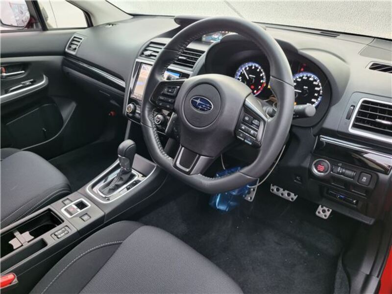 LEVORG