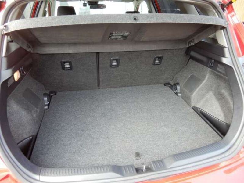 AURIS