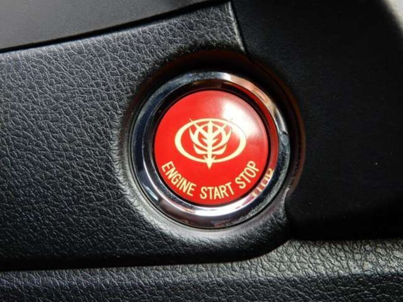 AURIS