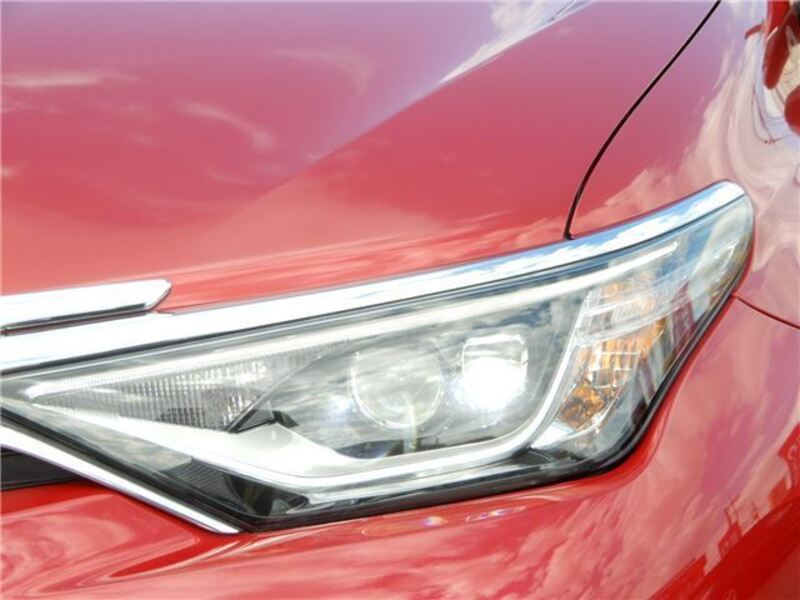 AURIS