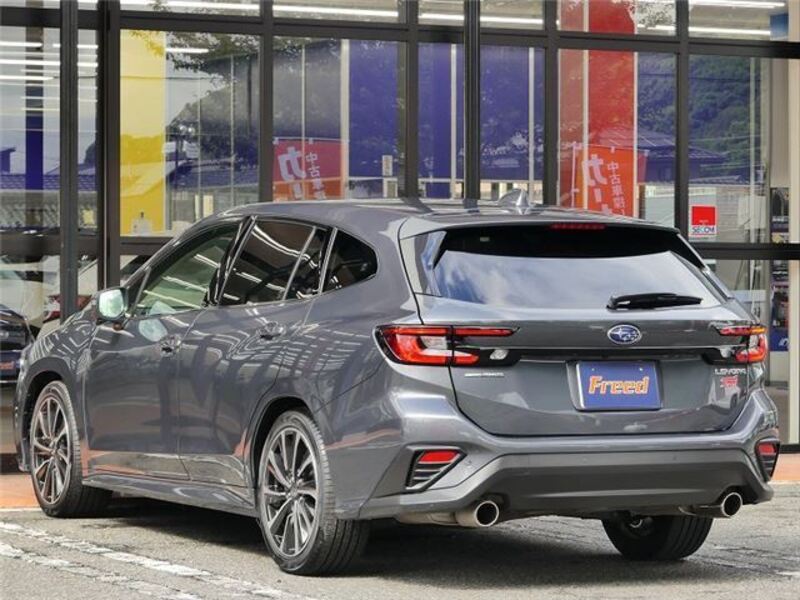 LEVORG
