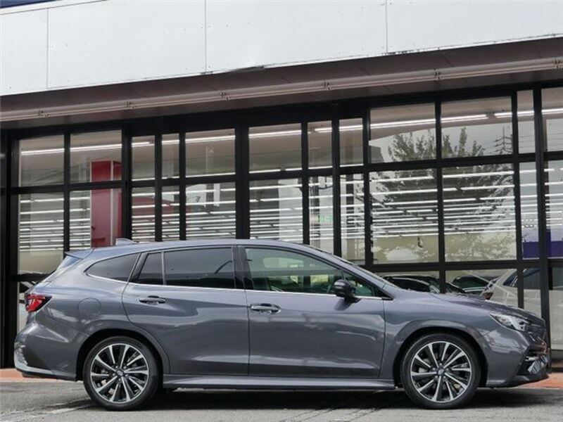 LEVORG