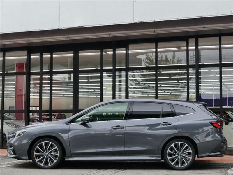 LEVORG