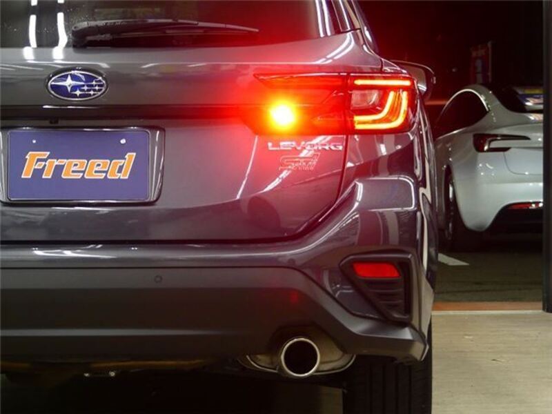 LEVORG