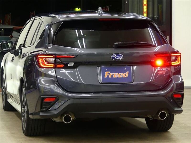 LEVORG