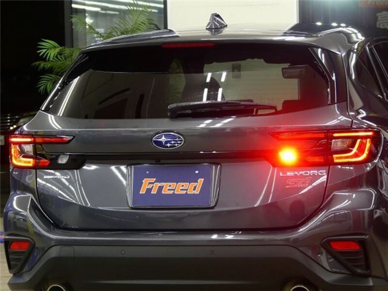 LEVORG