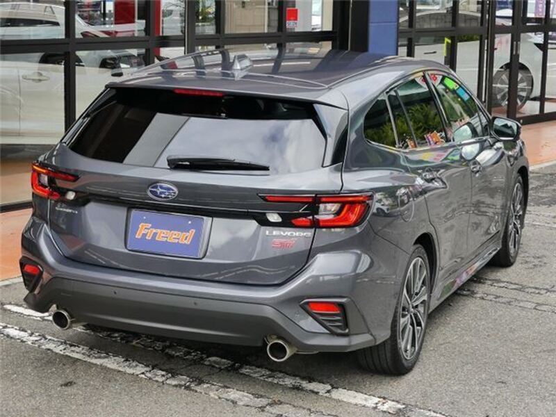LEVORG