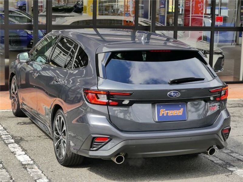 LEVORG
